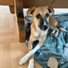 MARJORIE -liebe und verschmuste Seele-