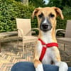 MARJORIE -liebe und verschmuste Seele-
