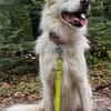 Knut sucht seinen Deckel/ wartet in 82284