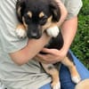 Eli