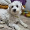 Kleine Sasha sucht Liebe und Geborgenheit (E)