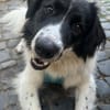 Stark und sensibel- Lucia