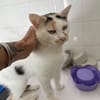 LILOU