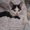 BOUNTY A trouvé sa famille