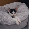 BOUNTY A trouvé sa famille