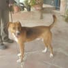 MILO (Maria)