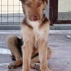 RUBBLE (Maria)