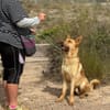 ROKY (Maria)