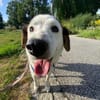 Çilli sucht ihre Kuschelfamilie