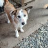 SINA - Alterswohnsitz gesucht