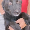 VALERIE - Zuhause gesucht