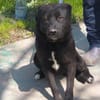 VALERIE - Zuhause gesucht
