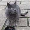 BLUE sucht sein Zuhause
