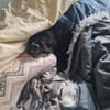 Kleiner Jordy aus Bochum sucht neues Zuhause