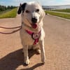 liebe, freundliche Seniorin CARLA