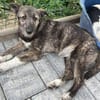 Rachel💕Kuschelmaus wartet in 48145 Münster