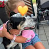 Trudi, sanfte Herzenshündin, ca. 7 Jahre