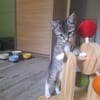 PECHE (A TROUVE SA FAMILLE)