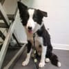 OTIS ( A TROUVE SA FAMILLE)