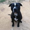 Ares