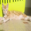 Berlioz