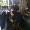 Fiona