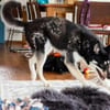 Bonita: verzaubert sie auch dich