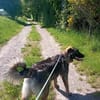 🐾💙 Yoyo sucht seine für immer Familie