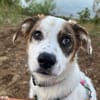 Entdecker MURPHY sucht seine Familie