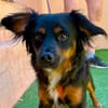BRUNO (MARTINA)