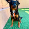 BRUNO (MARTINA)