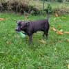 Paty, la plus gentille