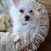 Molly, je suis joyeuse et tendre