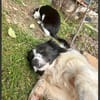 Ria & Tessa zwei Herzen die nur zusammen glücklich sind