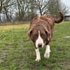Grete sucht ihre Menschen