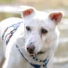 JONATHAN -sucht erfahrene Menschen-
