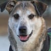 Rudi sucht Partner fürs Leben!
