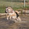 Rudi sucht Partner fürs Leben!