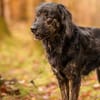JAMPY * sportlicher Schmuser