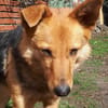 YUKI  Pfiffiges Hasenherz sucht...