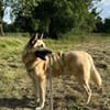 Phili  ein Kämpfer mit großem Herzen