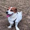 Süße Sally🌺 sucht liebevolles Zuhause
