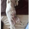Süße Sally🌺 sucht liebevolles Zuhause