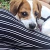 Süße Sally🌺 sucht liebevolles Zuhause