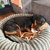 Wilma - Trennungsopfer