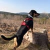 Wilma - Trennungsopfer