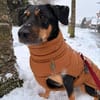 Wilma - Trennungsopfer