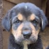 Mable auf Familiensuche