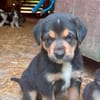 Mable auf Familiensuche