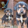 Mable auf Familiensuche